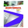 Invertebrata Volume 1