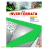 Invertebrata Volume II