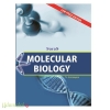 Molecular Biology